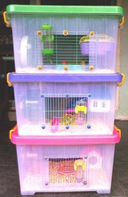 Hamster House